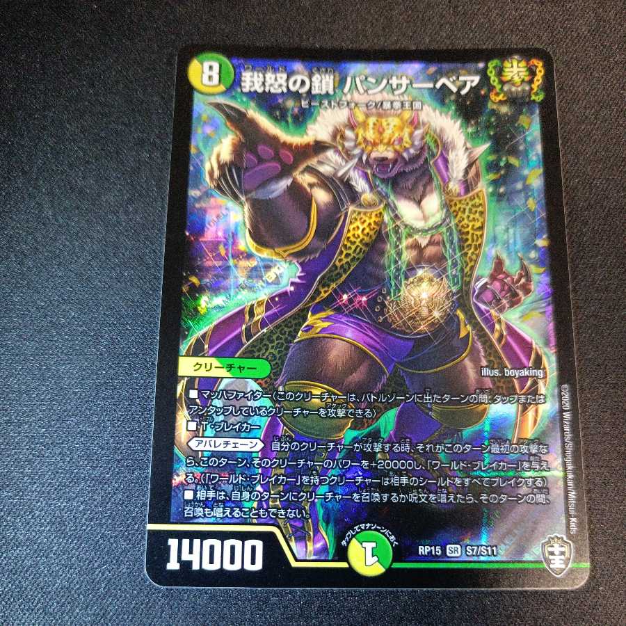 Chains of My Anger Panther Bear