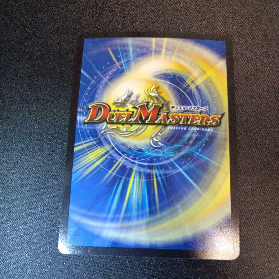 Chains of My Anger Panther Bear