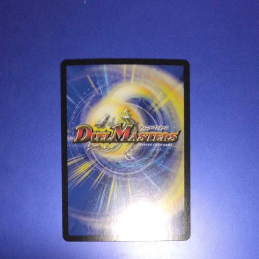 Knight of the Shield of the Absolute."