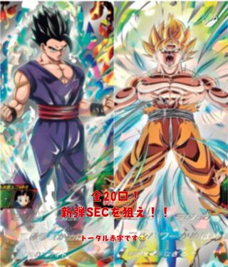 しゅれ様専用 1枚