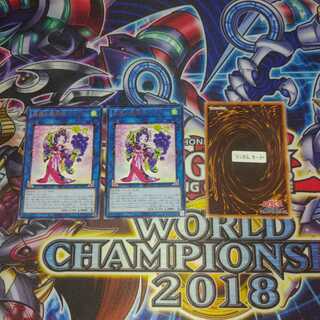 (R2+1) Forest Luo's Dancing Daughter Pione