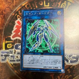 Yu-Gi-Oh ★Secure Gardna ★Rare
