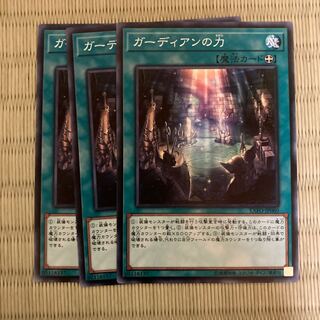 ガーディアンの力