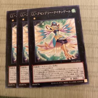 LL-Assembly Nightingale