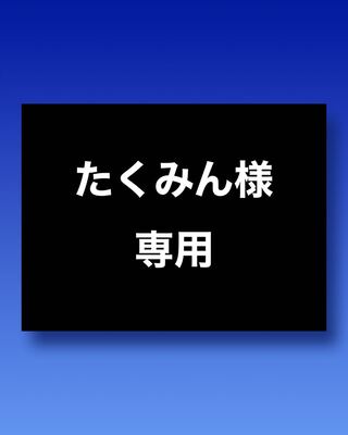 たくみん様専用