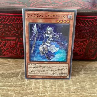 No.385 P屋　ティアラメンツ・シェイレーン 【スー】