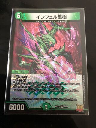 Infelix star tree (species of sedge, Infelix infertilis)