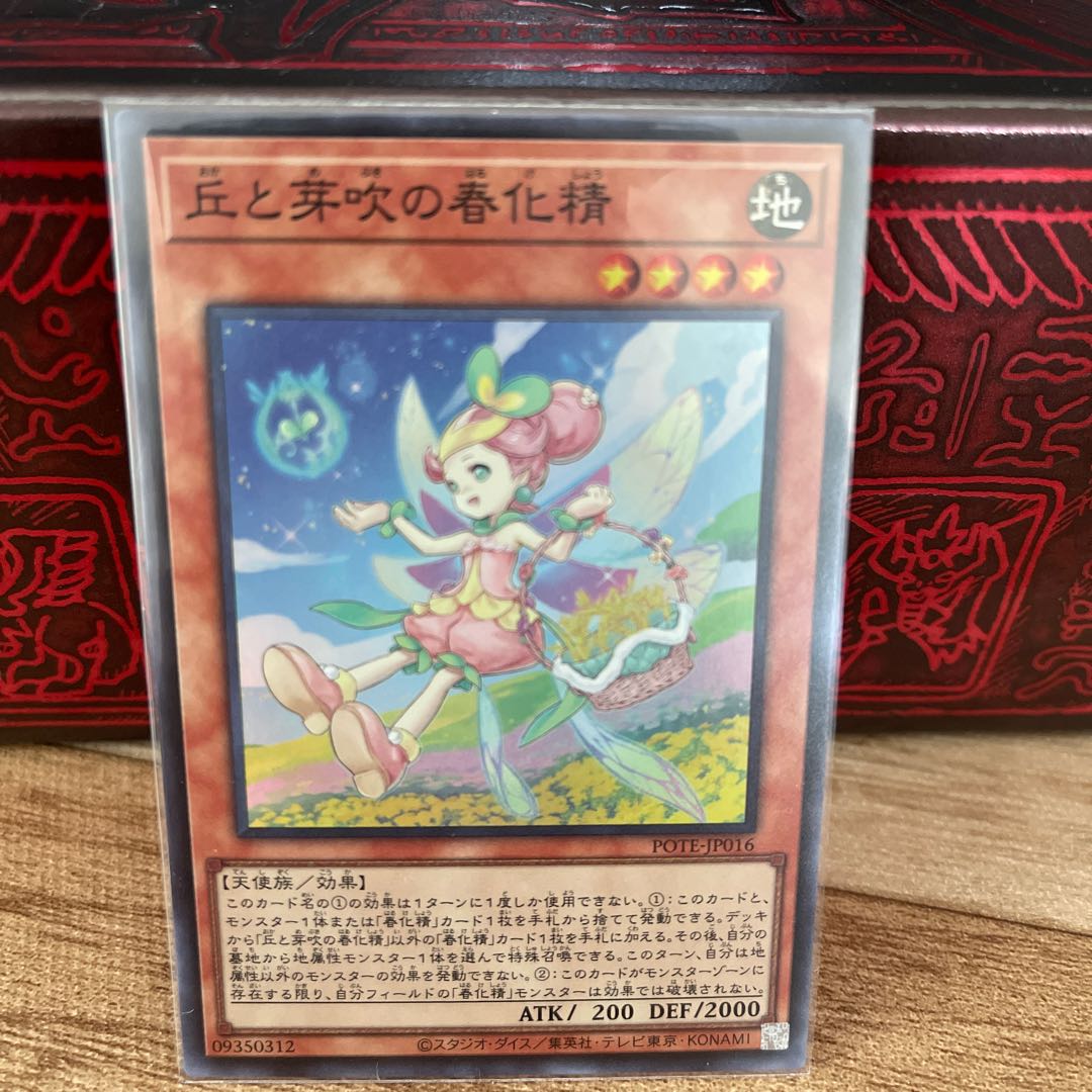 No.624 P屋　丘と芽吹の春化精 【スー】