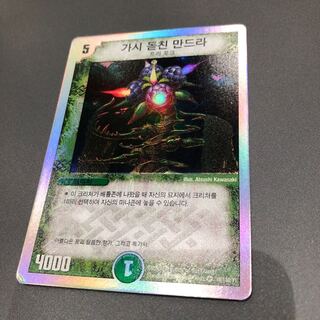 トゲ刺しマンドラ 美品