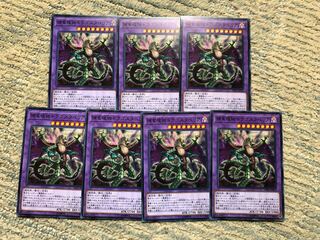 Predaplant Dragostapelia 7 sheets