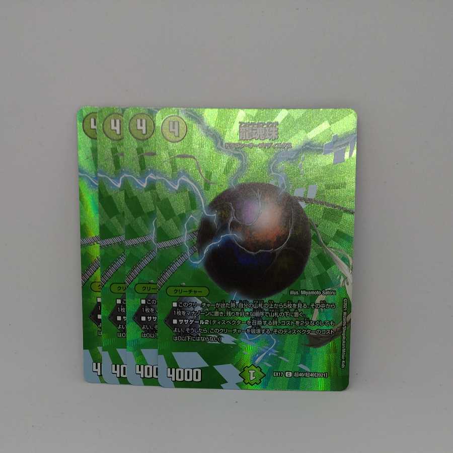 dragonfly nagi (species of nagi, Nageia nagi sometimes found in New Guinea)