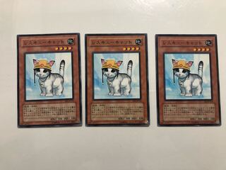 EE3-JP153 Rescue Cat 3 copies