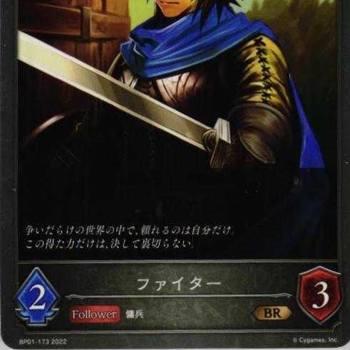 BP01-173 Fighter 3 sheets