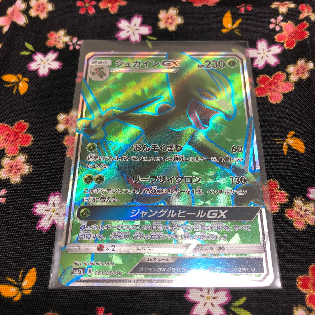 Grass・SceptileGX☆SR Evolution set