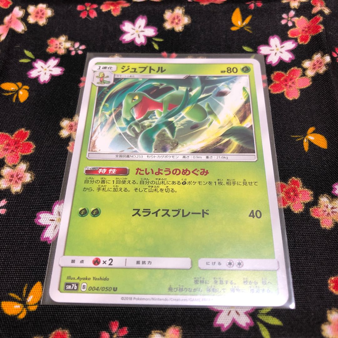 Grass・SceptileGX☆SR Evolution set