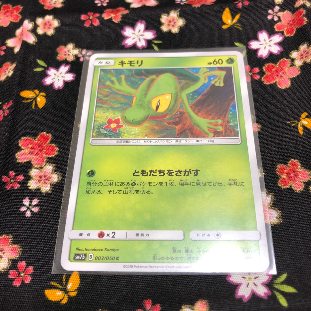 Grass・SceptileGX☆SR Evolution set