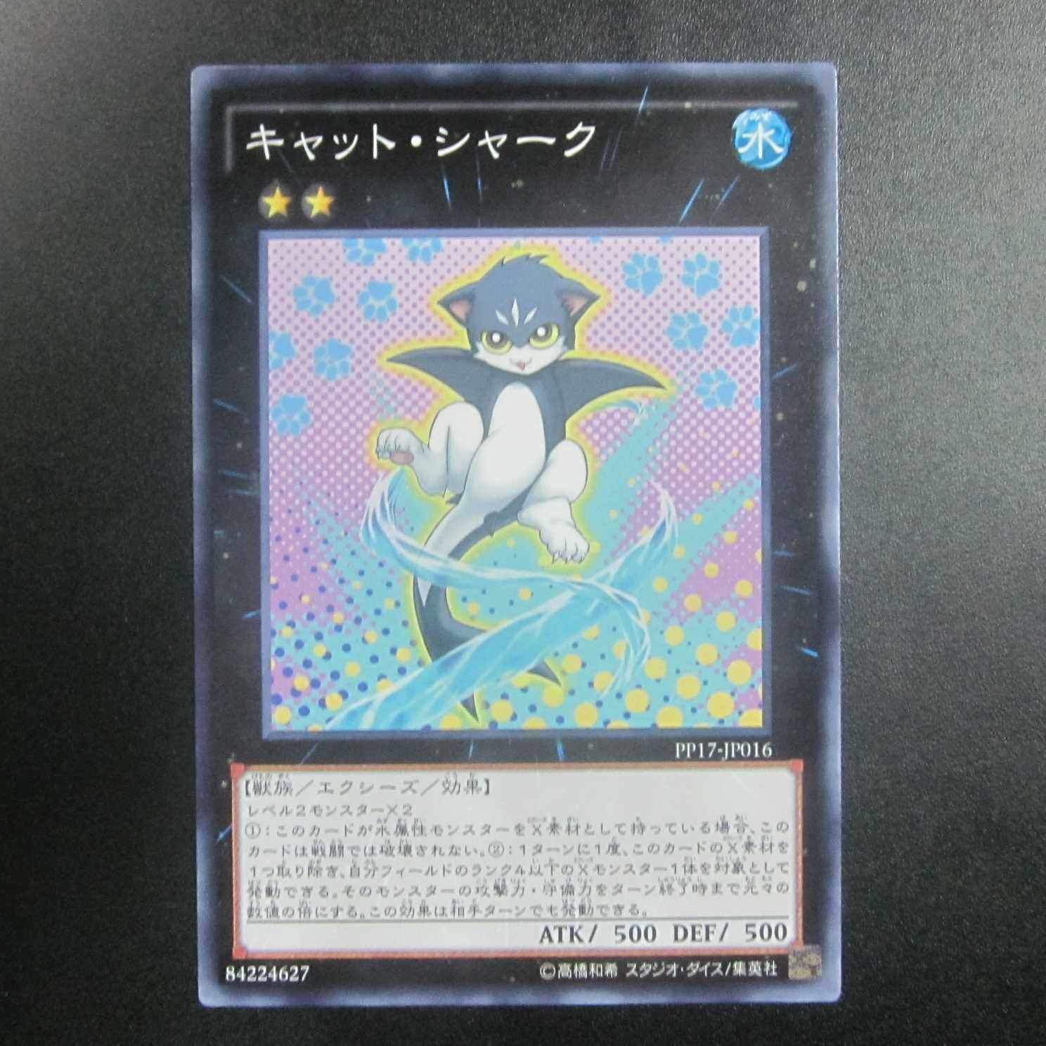 Cat Shark Normal PP17-JP016