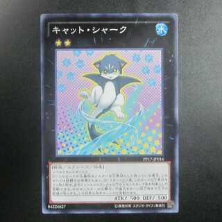 Cat Shark Normal PP17-JP016