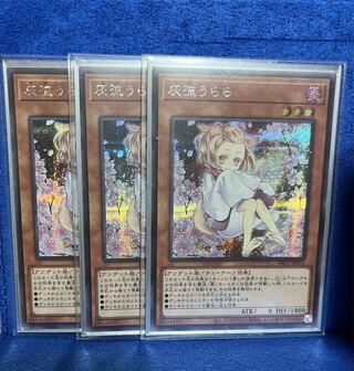 Ash Blossom & Joyous Spring