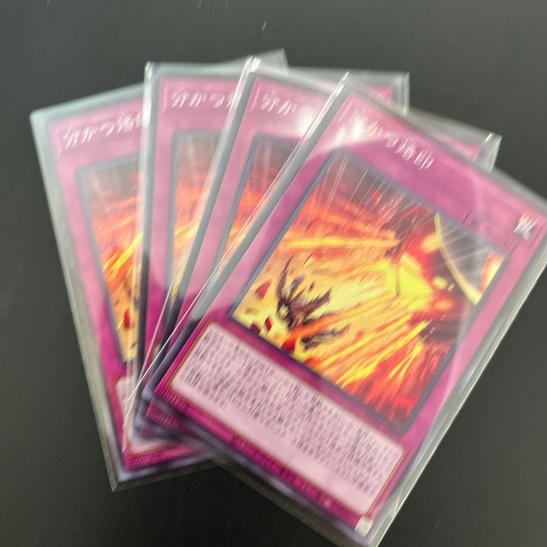 ☆55 [4 pieces] Brand that divides