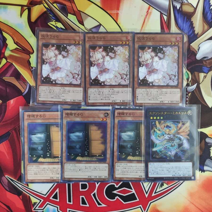 Mountain Store Exocister Deck Exocister Parks