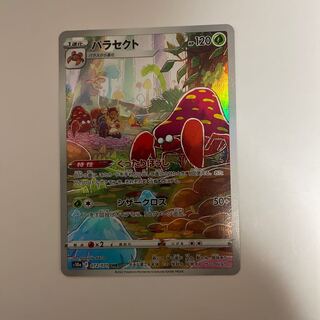 パラセクト　CHR