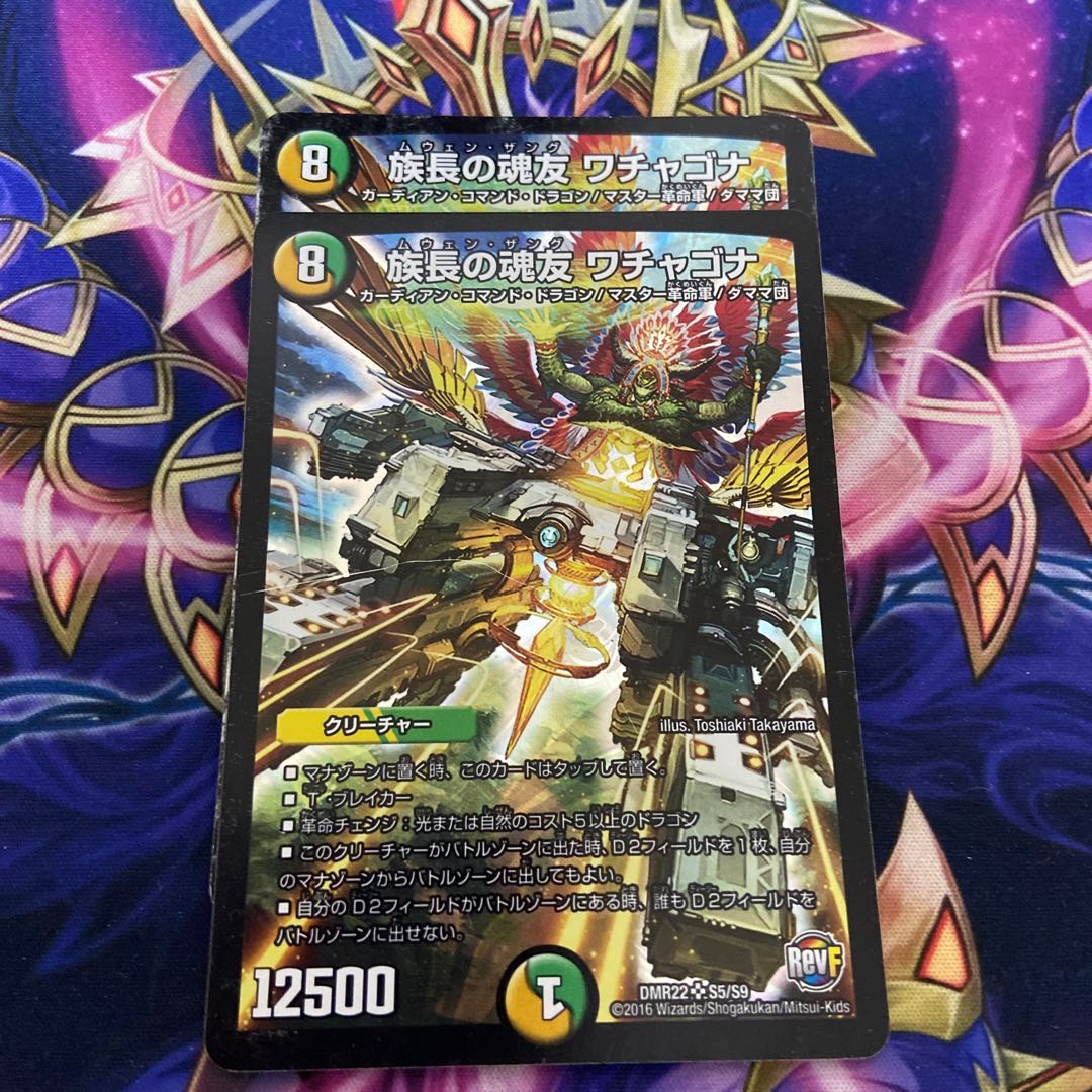 Wachagona, soul friend of the chief