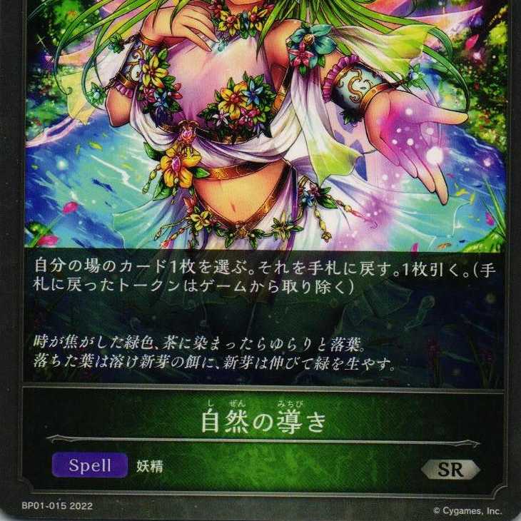 BP01-015  自然の導き 1枚