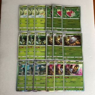 ケムッソ (ミラー)　カラサリス (ミラー)　アゲハント ドダイドス系　各3枚