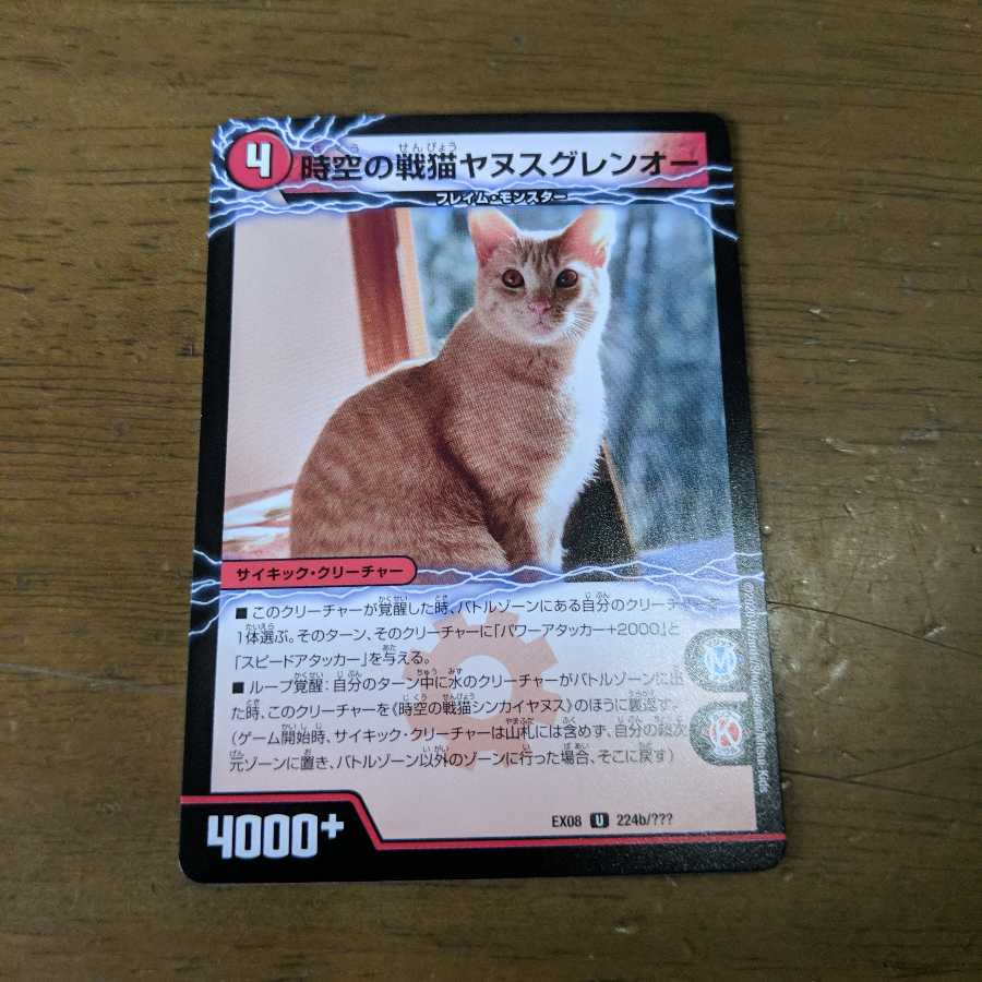 時空の戦猫シンカイヤヌス/時空の戦猫ヤヌスグレンオー　1枚