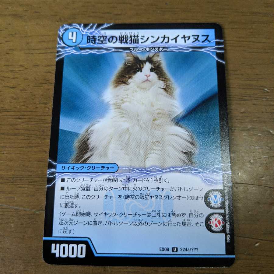 時空の戦猫ヤヌスグレンオー/時空の戦猫シンカイヤヌス　1枚