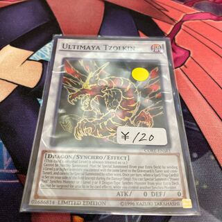 アルティマヤ・ツィオルキン　1枚　特価品　英語版