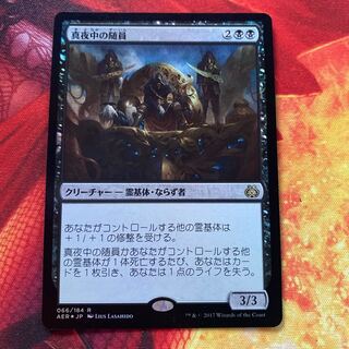 MTG Midnight Entourage foil