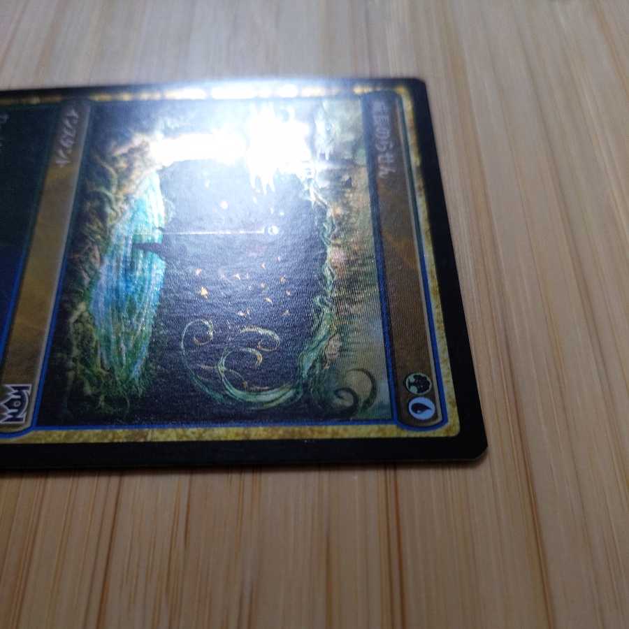 MTG Growth Spiral (Japanese) Promo foil RNA