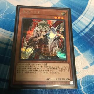 Ghost Ogre & Snow Rabbit Sik.