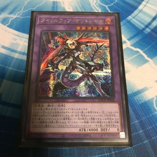 Dinolfia Kentregina Sik.