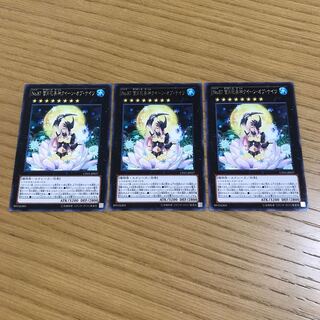 No.87 雪月花美神クイーン・オブ・ナイツ　3枚セット