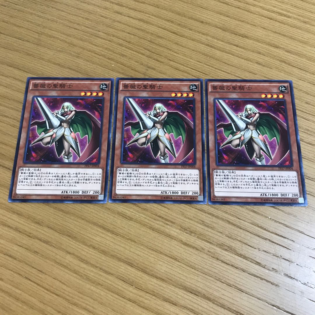 Rose Paladin Normal, set of 3