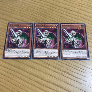 Rose Paladin Normal, set of 3