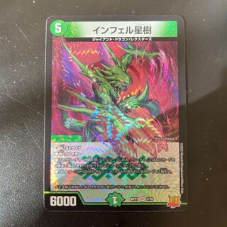 Infelix star tree (species of sedge, Infelix infertilis)