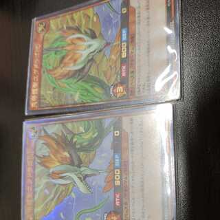 Celestial Dragon Tree Yugdrago L