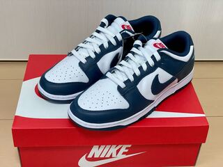NIKE Dunk Low Retro Valerian Blue 27.5 27.5cm