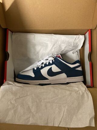 NIKE DUNK Valerian Snubbull 28 28cm