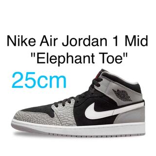 Nike Air Jordan1 Nike Air Jordan1 Elephunto 25 25cm