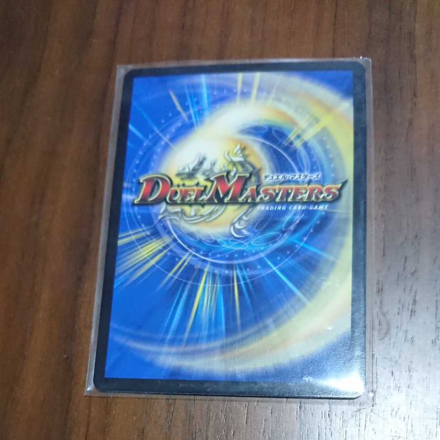 闘争類拳嘩目 ステゴロ・カイザー｜お清めシャラップ