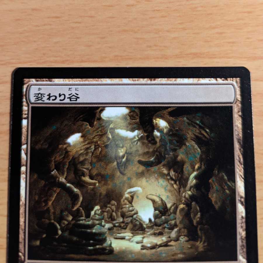 ヒデポニ様専用　変わり谷/Mutavault