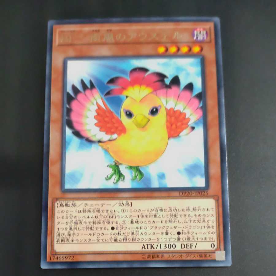 BF-South Wind Auster✕3