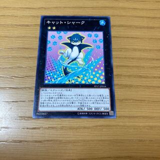 キャットシャーク