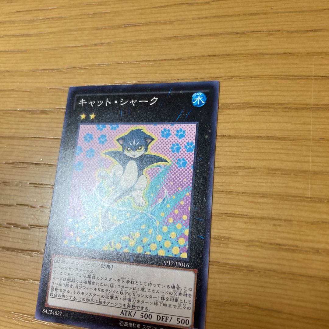 catshark (Cephaloscyllium sufflans, species of catshark from the western Indian Ocean)