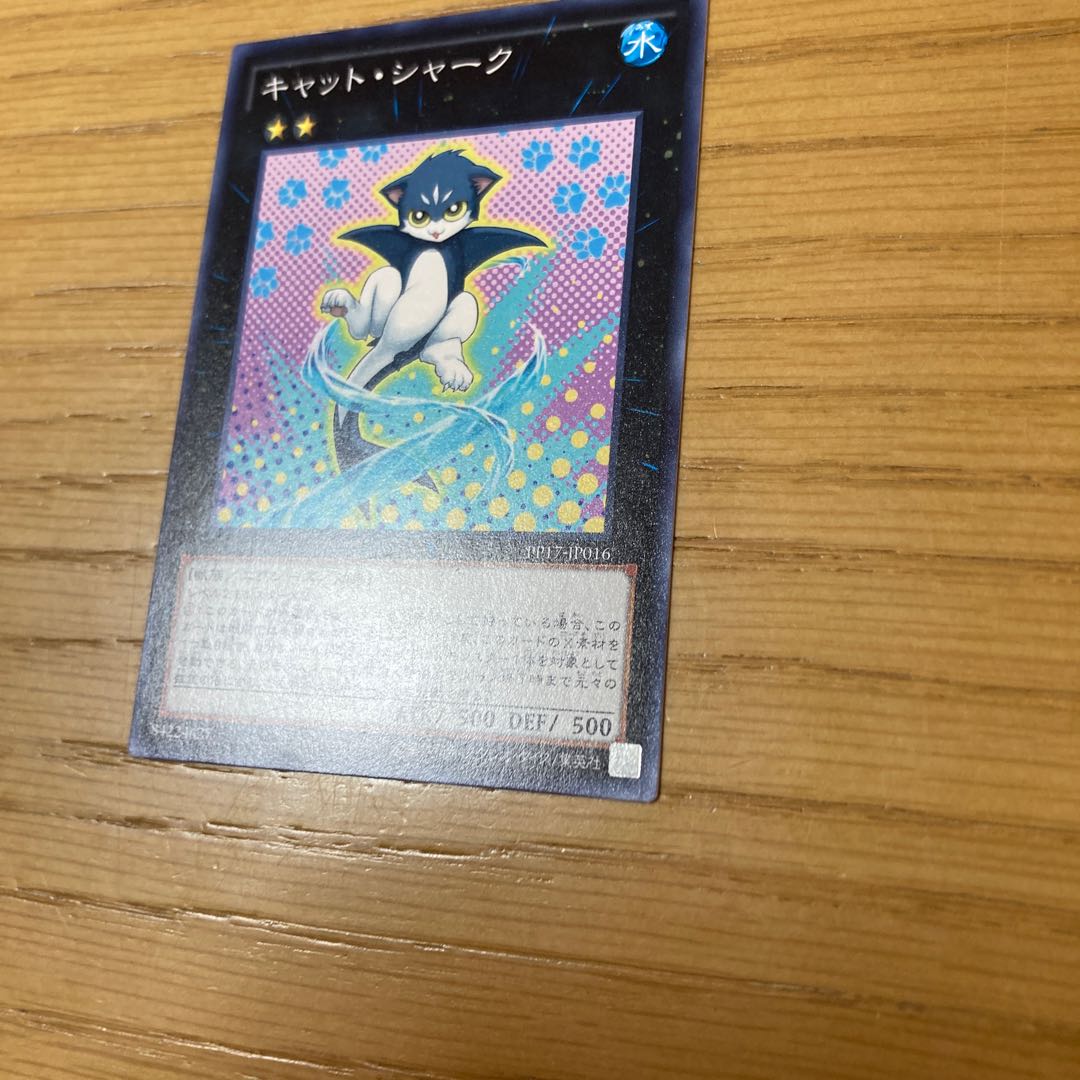 catshark (Cephaloscyllium sufflans, species of catshark from the western Indian Ocean)